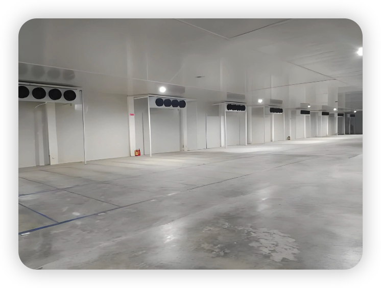 现代物流链建设保鲜冷库为什么成为核心要务